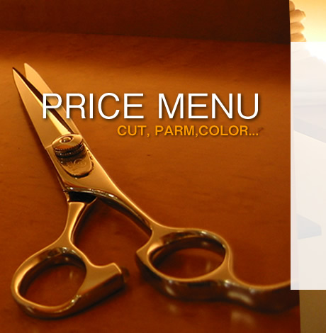 PRICE MENU j[Ɨ